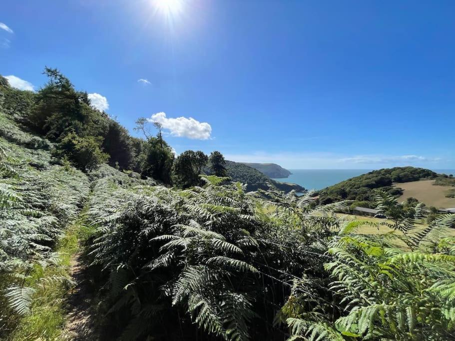 Vila Shearwater, Moor And Sea Holidays, Lovely Tranquil Space Between Exmoor And The North Devon Coast Lynton Exteriér fotografie